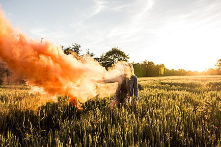 person standing on green wheat field holding smoke stick thumbnail
