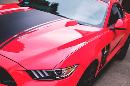 Mustang Car thumbnail