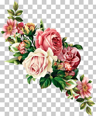 Vintage Roses: Beautiful Varieties for Home and Garden Flower , Rose, red and white rose flower PNG clipart