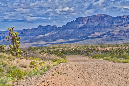 road between plants beside mountain range during daytime thumbnail