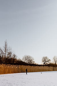 In middle of frozen lake thumbnail