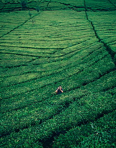 person standing in front of green field thumbnail