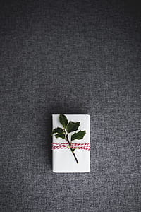 green leaf on white box thumbnail