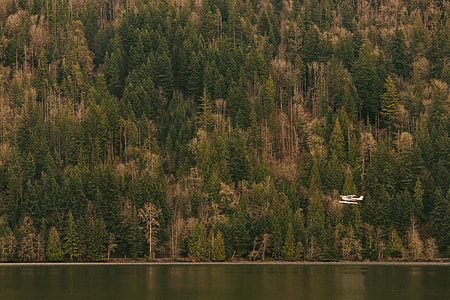 white biplane flying above the water thumbnail