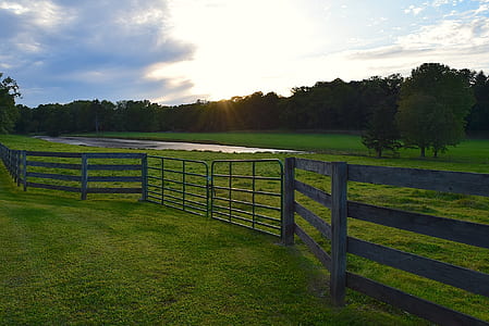 green grass field with wooden fence thumbnail