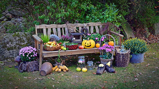 fruits on bench chair near plants thumbnail