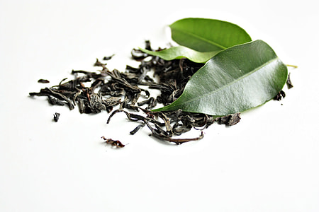 green leaf with dryed herb thumbnail