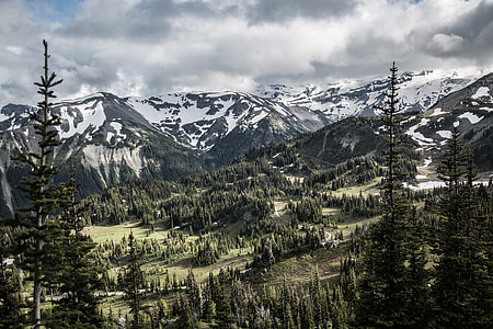 snow capped mountain pine trees under cloudy sky during daytim thumbnail