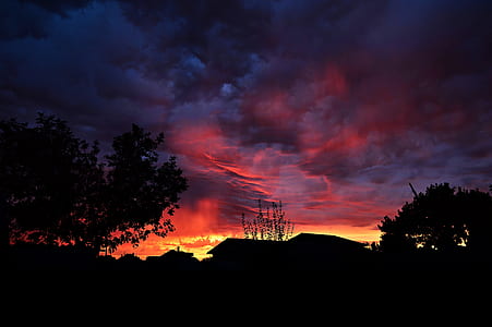 silhouette of trees under cloudy sky during golden hour thumbnail