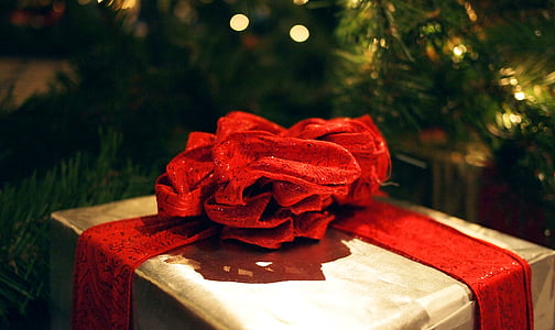 red and gray gift box near Christmas tree thumbnail
