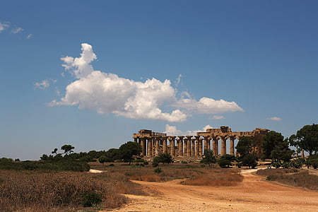 gray concrete ruins surrounded by trees thumbnail