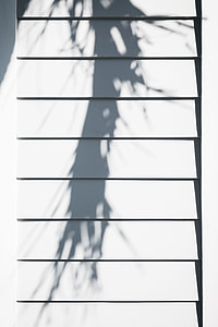 shadow, wood, minimal, white thumbnail