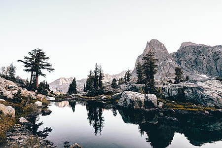 grey calm body of water near tall trees and rock formations under blue sky at daytime thumbnail