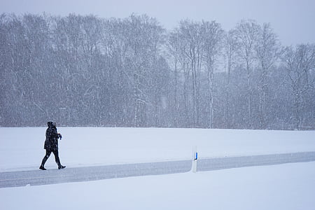 person walking on gray road surrounded by snow thumbnail
