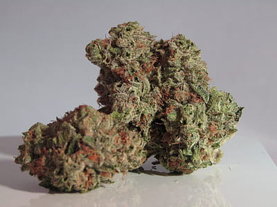green kush thumbnail