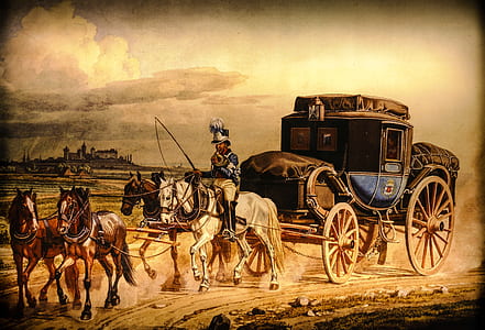 man riding on horse carriage thumbnail