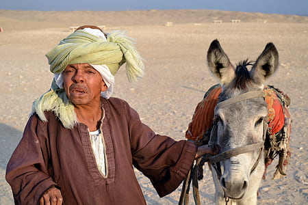man wearing brown long-sleeved shirt near donkey thumbnail