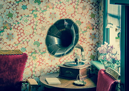brown and black gramophone on the table thumbnail