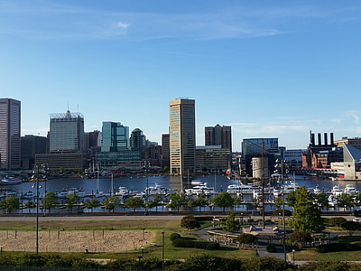 aerial photography of cityscape at daytime thumbnail