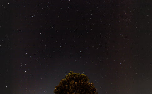 green tree under cloudy sky thumbnail
