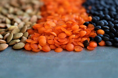 Lentils tricolora close up thumbnail