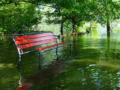 bench in body of water thumbnail