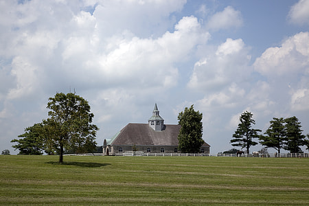 Kentucky Horse Farm, Thoroughbreds thumbnail