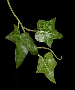 three green plastic leaves thumbnail