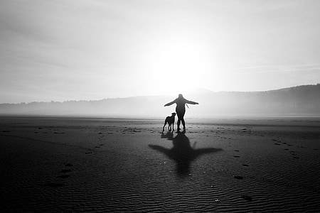 grayscale photo of woman with dog thumbnail