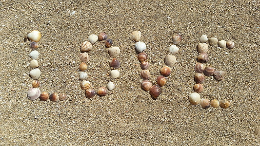 brown and white shell LOVE design photo thumbnail