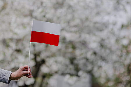 Flag of Poland - Polska Flaga thumbnail