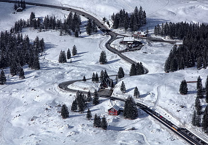 aerial photography of house surrounded with trees beside train rail thumbnail