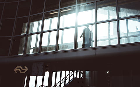 person inside the building with glass walls thumbnail