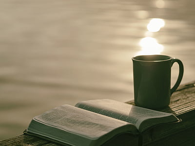 mug beside book on plank thumbnail