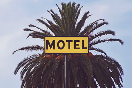 yellow and black motel signage near green palm tree at daytime thumbnail