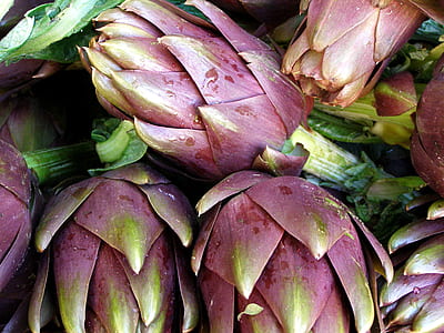 dragon fruit lot thumbnail