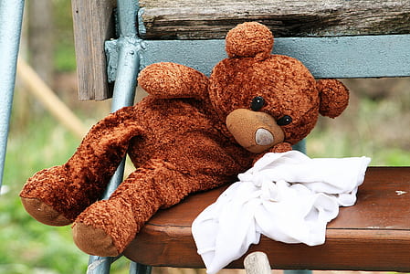 brown teddy bear on brown bench thumbnail