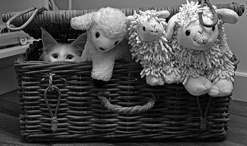 grayscale photo of animal plush toys inside woven basket thumbnail