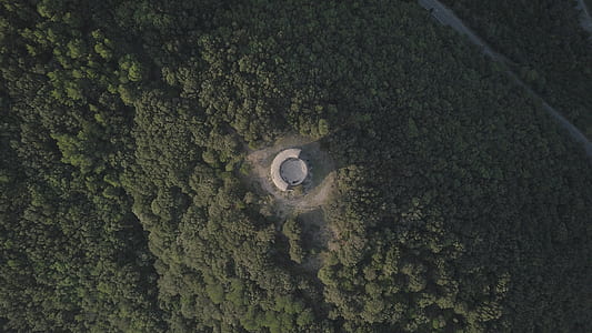 aerial photo of white building surrounded by trees thumbnail