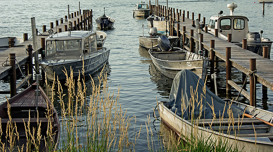 white motorboat on body of water at daytime thumbnail