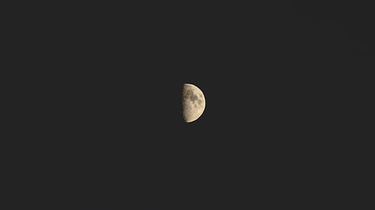 selective focus photography of moon thumbnail