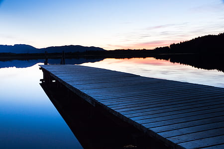 wood, light, dawn, landscape thumbnail