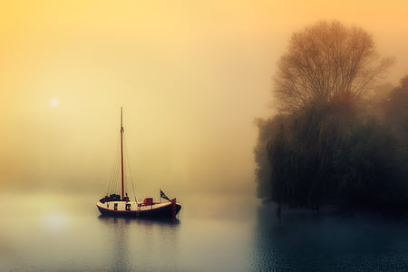 white and black sail boat on body of water near green trees thumbnail