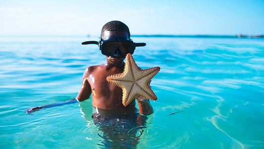 boy holding brown star fish thumbnail