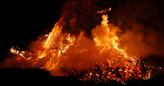 fire forest photo thumbnail