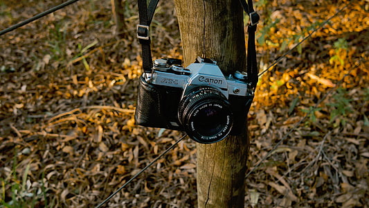 black and gray Canon SLR camera hanged on brown wooden post thumbnail