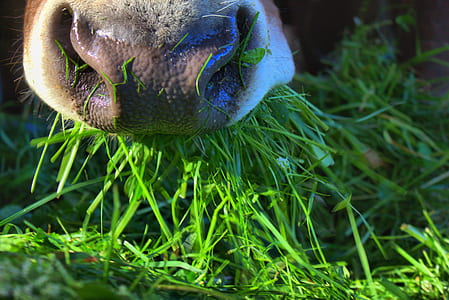 person harvesting plants thumbnail
