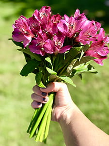 Photo of Person Holding Flowers thumbnail