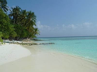 calm sea near white sand under clear blue sky during daytime thumbnail