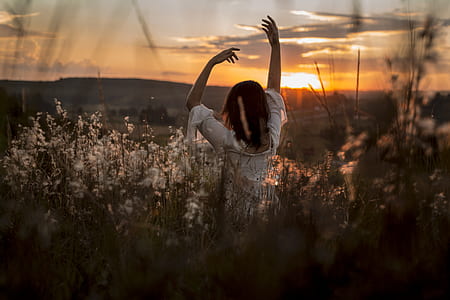 person in the middle of grass field during sunset thumbnail